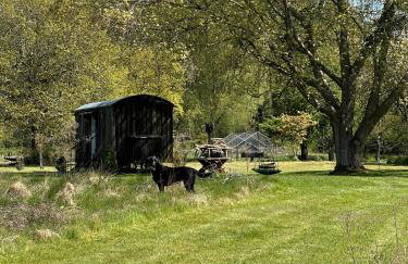 Mountbatten Shepherds hut & Buckhurst Shepherds hut - Photo 42