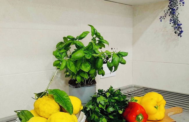 YourHome - Alisea Home - Foto 5