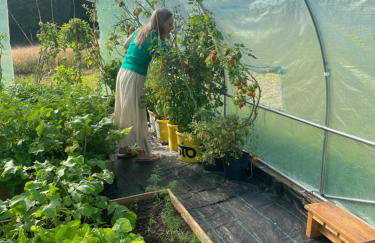 DoWielina - domki wśród natury - Foto 29