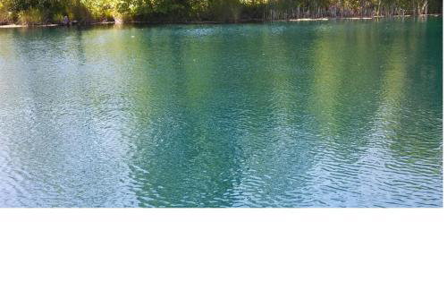 Treetops Cabin-Peaceful 1BR 20-Acre Rural Retreat-HotTub-WiFi-Near Asheville - Foto 5