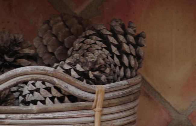 Magina Dream Pegalajar - Foto 50