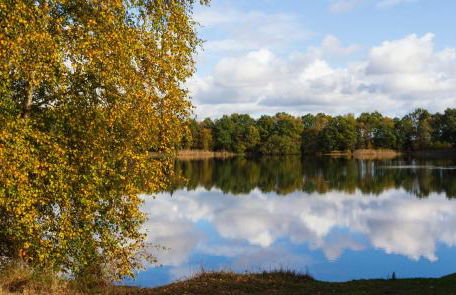 Ferienhaus Clara - Foto 19