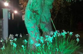 Βίλλα Φανούλα Villa Fanoula - Foto 80