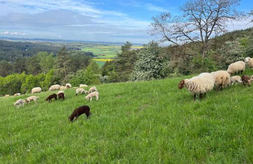 Landhaus-Villa auf dem Berg - Foto 58