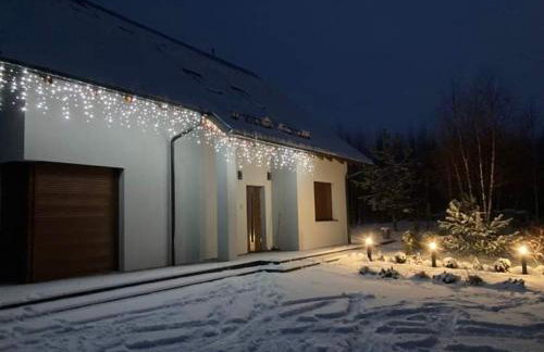 Willa w Brzozach Sznurki Spokojna 1 - Chmielno, Kaszuby, dom, jezioro - Foto 48