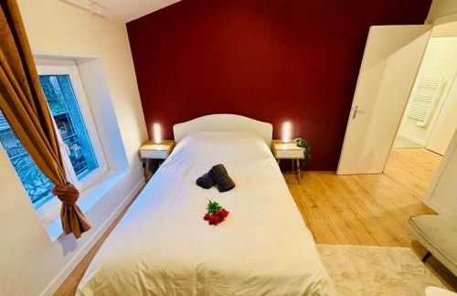 Studio rubis - Proche centre-ville - Saint-Etienne - Foto 21