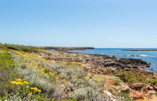 Villa Delfin - Foto 32