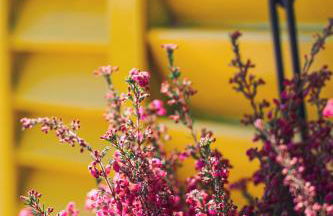 Casinha dos Relógios - Foto 11