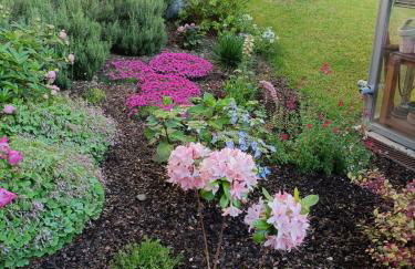 Recinto Nobili 4 - private parking vista cortile - Photo 24