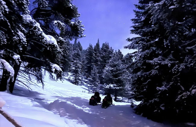 Lichen Huts - Foto 11