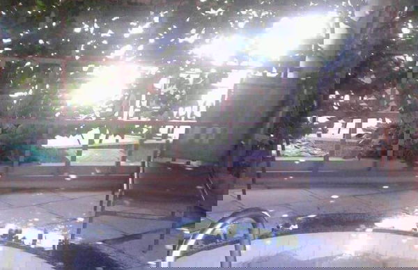 Lacqua diroma - Foto 15