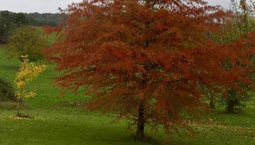 Maison à Hautefort avec clim, vélos gratuits, animaux admis - FR-1-616-164 - Foto 4