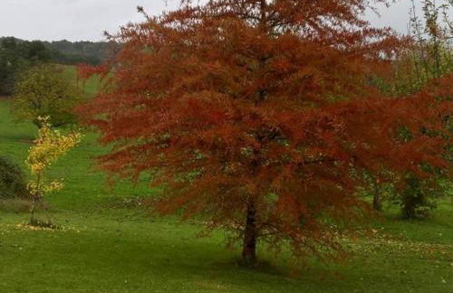 Maison à Hautefort avec clim, vélos gratuits, animaux admis - FR-1-616-164 - Foto 4