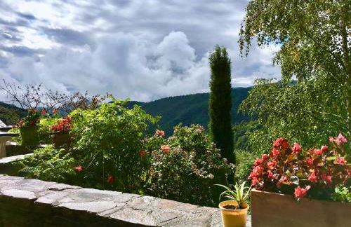 La Coutinelle - Foto 13