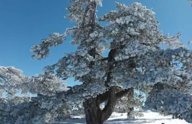 Alojamiento Salas - Foto 41