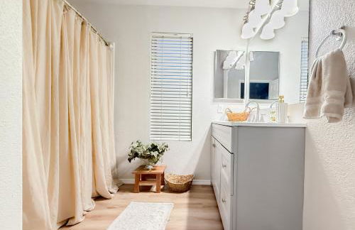 Cactus Bonito - Foto 43