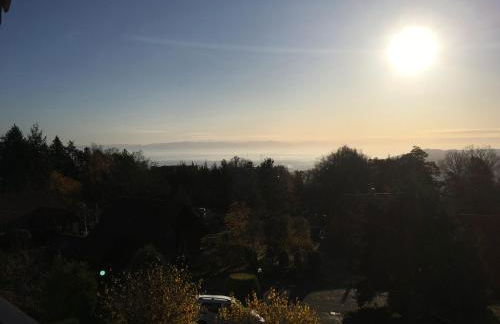 Trois-Épis, vue magnifique - Foto 9