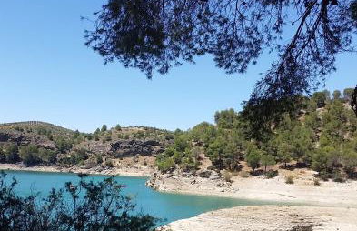 Finca Las Morenas - Foto 41