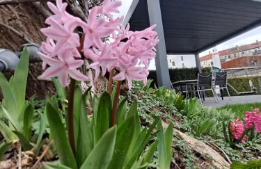 Space Hotel im Campus der JvP Schule - Foto 40