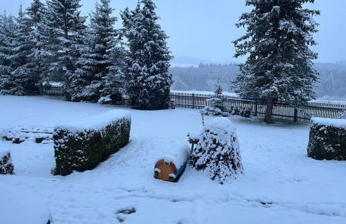 Schöne Zimmer mit gemeinsamer Nutzung von Bad, Toilette und Küche - Foto 19