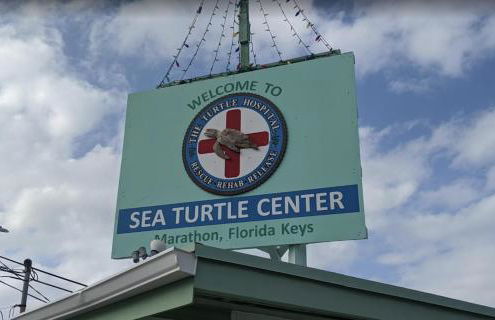 The Florida Keys Treehouse in Marathon, FL - Foto 40