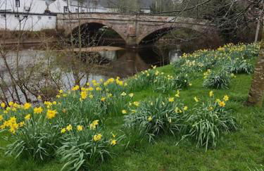 Eden house - Foto 12