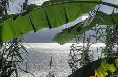 Jajá Cabanas - Foto 36