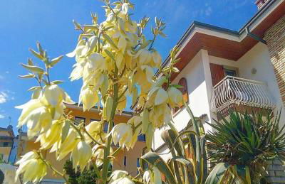 La Madrugada - Foto 24