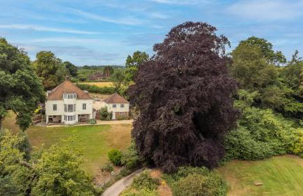 Countryside retreat set within beautiful woodlands with easy access to Henley On Thames - Foto 19