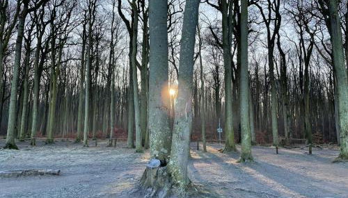 Ferienwohnungostseeblick - Foto 5