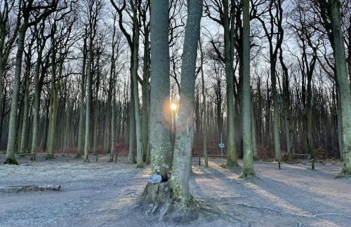 Ferienwohnungostseeblick - Foto 5