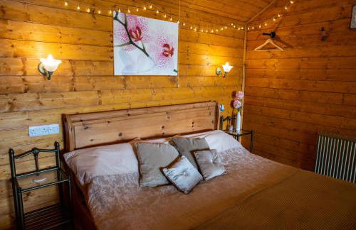 Blossom Cabin - Little log Cabin in Wales - Foto 10