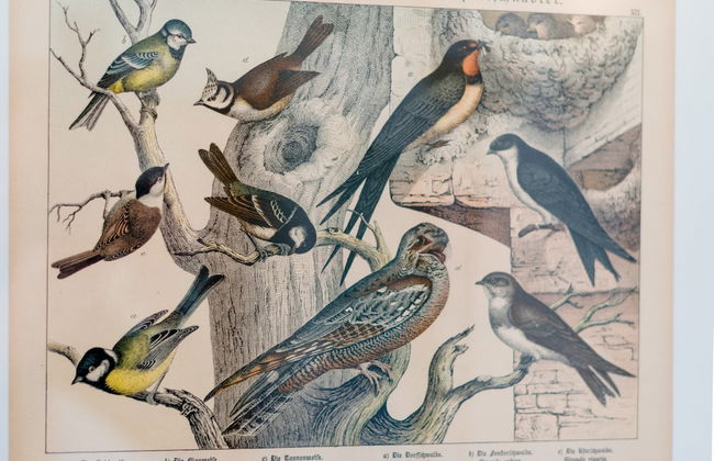 Ferienhaus in Amelgatzen mit Terrasse - Foto 24