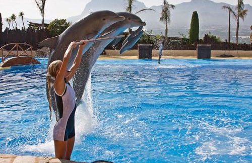 Apartment Bellavista 36 Cabo Roig - Photo 24