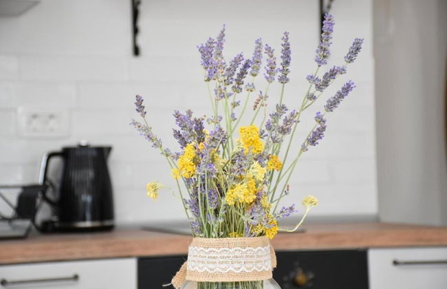 Wild Wind Residence - Foto 11