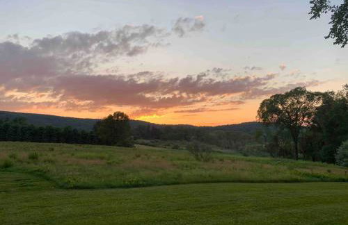 Longpond Cellars and Farms 40Acre Estate - Foto 13
