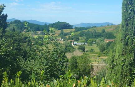 Il Fienile del Colle - Foto 43