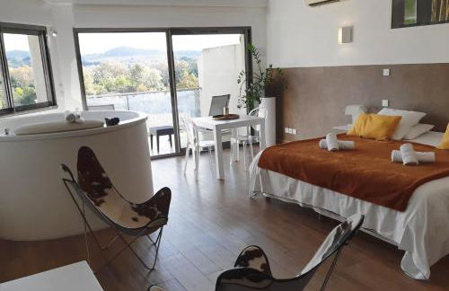 Les Suites du Saint Nazaire, vue panoramique sur la Cité Médiévale - Les Balcons de la Cité - Foto 28