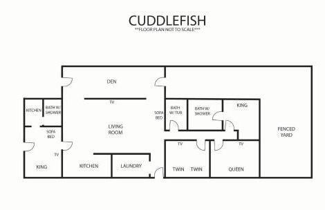 Cuddlefish - Foto 33