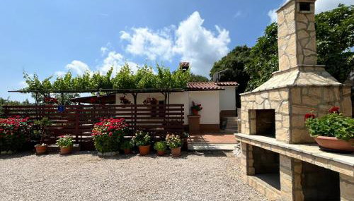 Holiday Home Lana - Foto 3, Garden