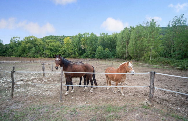 Holiday Home in Ficulle Near Monte Peglia - Foto 19