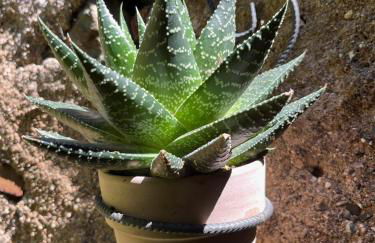 Arco del Tinte 10 - Photo 33