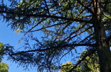 Nanas-Auszeit - Foto 27