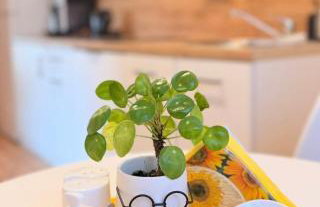 Domek na Wiejskiej - Foto 5