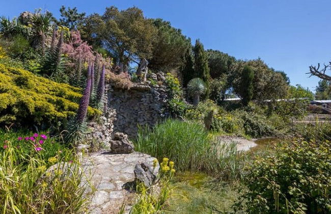 Cozy Chalet in Vrouwenpolder With Garden - Foto 26