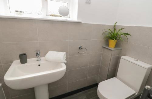 Dabbling Ducks - Foto 28