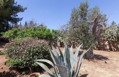 Villa piscina giardino recintato 5 camere WiFi barbecue Aria condizionata - Foto 41