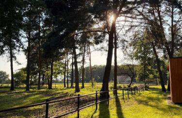 Zagroda Szczęśliwych Zwierząt - Foto 11