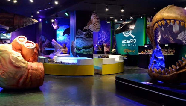 Entrada al Acuario Inbursa + Transporte - Foto 2