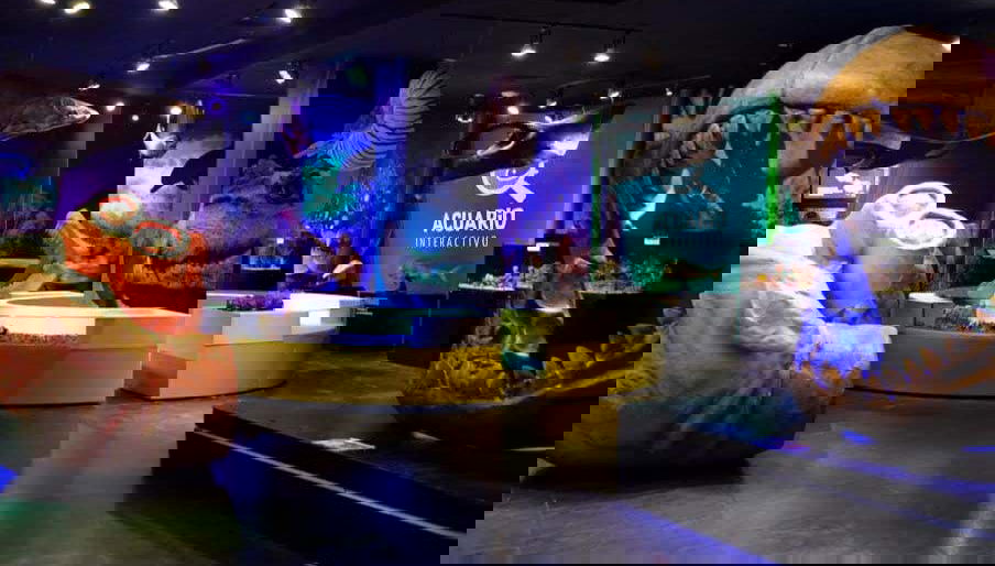 One of the aquarium exhibits